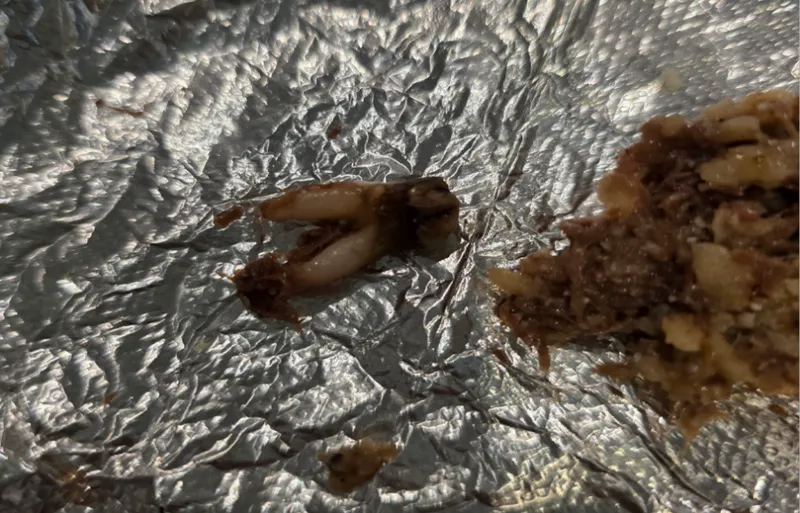 Gigi Sapi Nyelip di Taco, Pelanggan Tuntut Resto Rp4,5 M