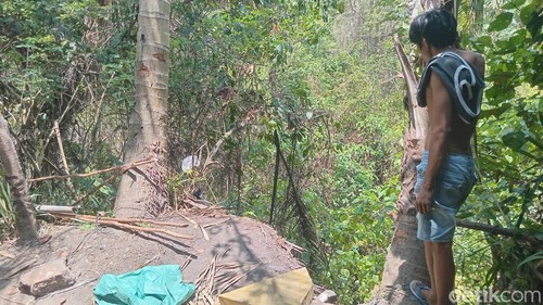 Lokasi jurang di halaman belakang toko kerajinan di Jalan Raya Andong nomor 99, Ubud, Gianyar, Selasa (20/10/2026). (Aryo Mahendro/detikBali).
