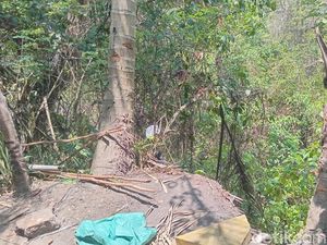 Karyawan Toko Kerajinan Jatuh ke Jurang di Ubud