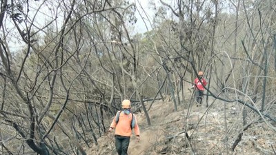 Pemprov Jateng Intensifkan Pemadaman Karhutla Gunung Lawu dan Sumbing