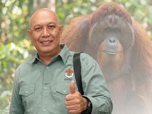 Cerita Handi dan Profesinya Jadi Penyelamat Orang Utan di Tengah Karhutla