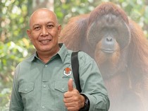 Cerita Handi dan Profesinya Jadi Penyelamat Orang Utan di Tengah Karhutla