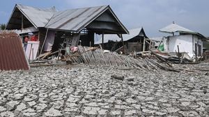 Dua Bulan Pascagempa Flores, 118 Ribu Rumah Rusak
