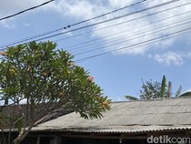 BMKG Sebut Cuaca Panas di Bali Berlangsung hingga November