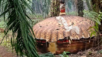 Benda Logam Mirip Kubah Kembali Ditemukan di Kebun Sawit Kotim Kalteng