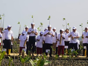 Mengenal NbS, Program BOPPJ untuk Lindungi Pesisir Pantai Utara Jawa