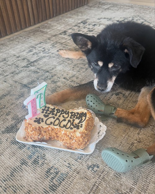 Momen Menyentuh Ariana Grande Bareng Coco yang Meninggal