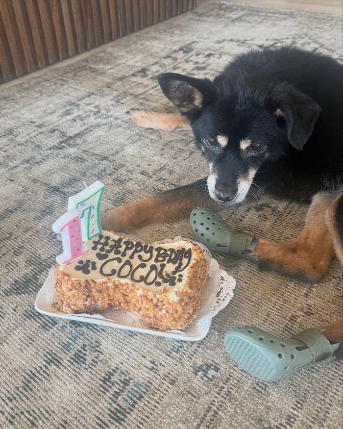 Momen Menyentuh Ariana Grande Bareng Coco yang Meninggal