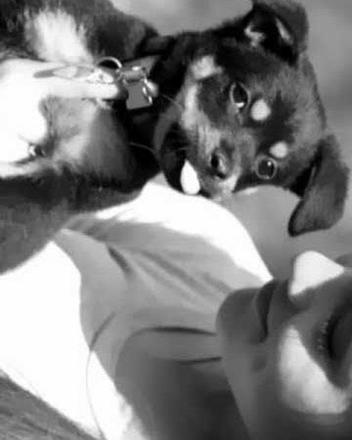 Momen Menyentuh Ariana Grande Bareng Coco yang Meninggal