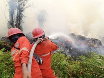 BRIN Siapkan Operasi Modifikasi Cuaca untuk Penanganan Karhutla, Ini yang Dilakukan