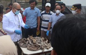 Misteri Puluhan Pocong Isi Kerangka Bikin Ngeri Warga Canguk Magelang