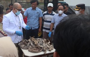 Geger Puluhan Bungkus Pocong Kecil Berisi Kerangka di Magelang
