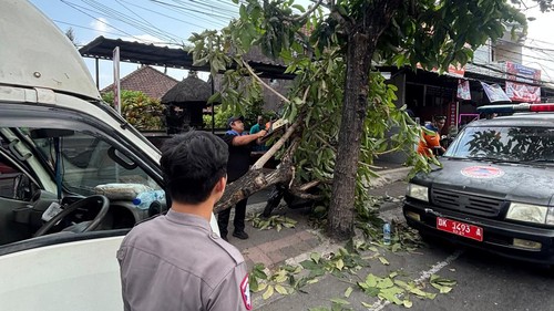 Petugas membersihkan sisa pohon tumbang akibat kecelakaan pikap di Jalan Raya Denpasar-Gilimanuk, Sempidi, Badung, Bali, Selasa (20/10/2026). (Foto: Polres Badung)