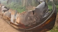 BRIN Ungkap Benda Misterius yang Jatuh di Kebun Sawit Sampit