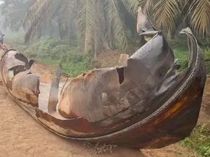 BRIN Ungkap Benda Misterius yang Jatuh di Kebun Sawit Sampit