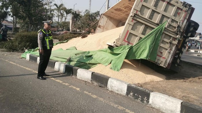 Truk muat jagung terguling di Balongbendo Sidoarjo