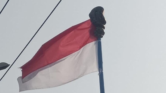 Ular piton sepanjang 2 meter menggegerkan SDN 4 Lise, Sidrap.