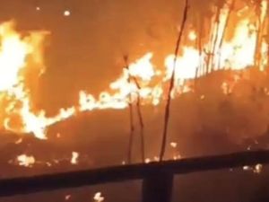Bukit Lubang Kilat Terbakar, Lereng Hijau Wisata Andalan Lamandau Menghitam