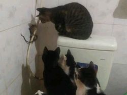 Dunia Sedang Tidak Baik-baik Saja, 10 Foto Ini Buktinya