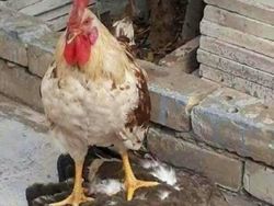 Dunia Sedang Tidak Baik-baik Saja, 10 Foto Ini Buktinya