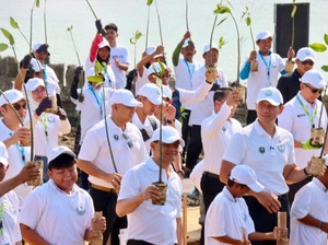 DPRD Jateng Dukung Penanaman Mangrove untuk Atasi Abrasi di Demak