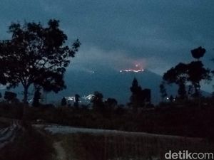 Pemprov Minta Satu Heli Water Bombing Direlokasi dari Lawu ke Sumbing