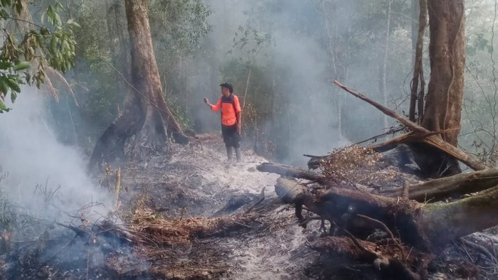 Kebakaran di Gunung Ranindi, Kabupaten Sigi.