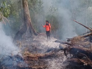 Kebakaran di Gunung Ranindi Sigi Hanguskan 60 Hektare Lahan