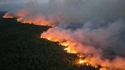 Api Karhutla TN Tanjung Puting Menuju Permukiman, Ratusan Warga Terancam