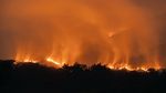 Lebih dari 100 Titik Api Membara di Gunung Arjuno