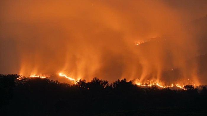 Api membakar vegetasi di kawasan Gunung Arjuno, Lawang, Kabupaten Malang, Jawa Timur, Selasa (20/10/2026). Berdasarkan data UPT Tahura Raden Soerjo, lebih dari 100 titik api terpantau dalam kebakaran yang berlangsung sejak Kamis (15/10) tersebut, sementara upaya penanganan melibatkan puluhan petugas gabungan Polri, Polisi Hutan, Manggala Agni, Masyarakat Peduli Api (MPA), dan relawan. ANTARA FOTO/Irfan Sumanjaya/YU