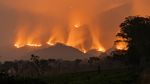 Lebih dari 100 Titik Api Membara di Gunung Arjuno