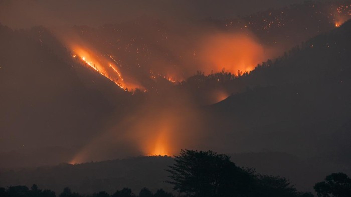 Api membakar vegetasi di kawasan Gunung Arjuno, Lawang, Kabupaten Malang, Jawa Timur, Selasa (20/10/2026). Berdasarkan data UPT Tahura Raden Soerjo, lebih dari 100 titik api terpantau dalam kebakaran yang berlangsung sejak Kamis (15/10) tersebut, sementara upaya penanganan melibatkan puluhan petugas gabungan Polri, Polisi Hutan, Manggala Agni, Masyarakat Peduli Api (MPA), dan relawan. ANTARA FOTO/Irfan Sumanjaya/YU