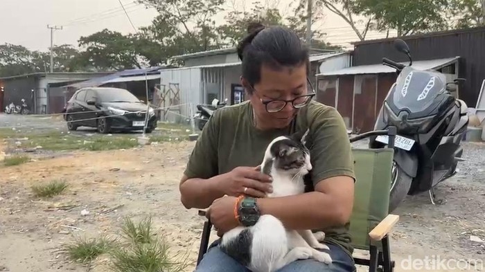 Pegiat Komunitas Sahabat Kucing Jalanan (SKJ), Diah Sari dan kucing jalanan Alex. (Khairun Nisa/detikKalimantan)