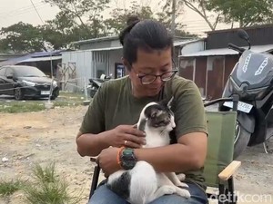 Tak Hanya Manusia, Kucing Jalanan Juga Sesak karena Asap Karhutla