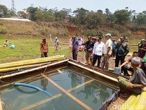 Sawah Sumedang Mengering, Petani Melawan Krisis Air