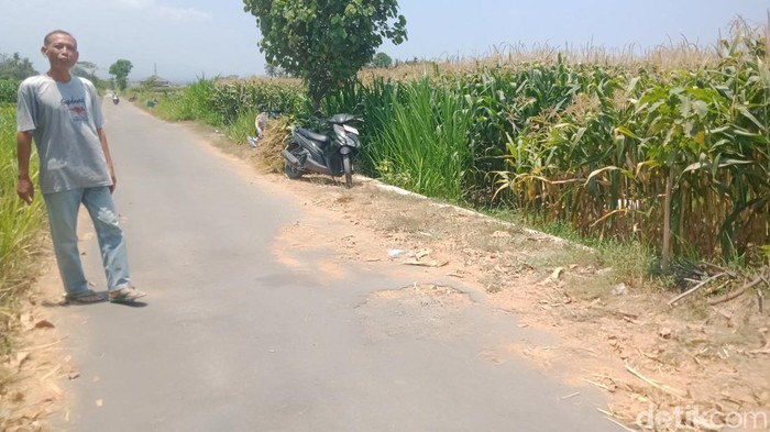 Lokasi penemuan wanita asal Surabaya yang tergeletak terluka parah di jalan persawahan Desa Nangsri, Manisrenggo, Klaten, Rabu (21/10/2026).