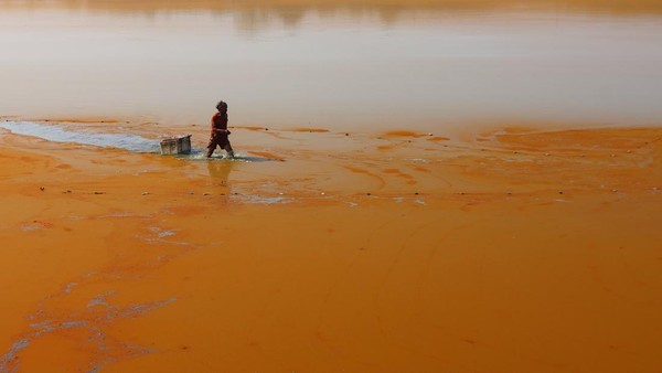 Danau Mawang Dipenuhi Alga, Ekosistem Ikan Terancam