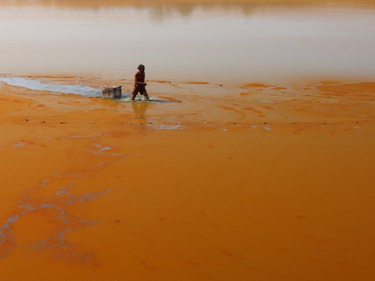 Danau Mawang Dipenuhi Alga, Ekosistem Ikan Terancam