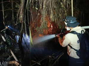 Peran Vital Akamsi dalam Upaya Pemadaman Karhutla Tanjung Puting