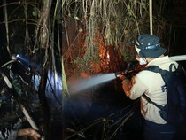 Peran Vital Akamsi dalam Upaya Pemadaman Karhutla Tanjung Puting