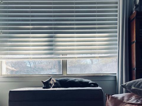 roller blinds roller blinds