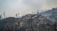 Bagian lereng yang sebelumnya ditumbuhi vegetasi kini tampak menghitam dan menyisakan abu. Meski api bisa dipadamkan, dampak kebakaran meninggalkan kerusakan pada kawasan wisata yang dikenal menawarkan pemandangan bak negeri di atas awan itu.