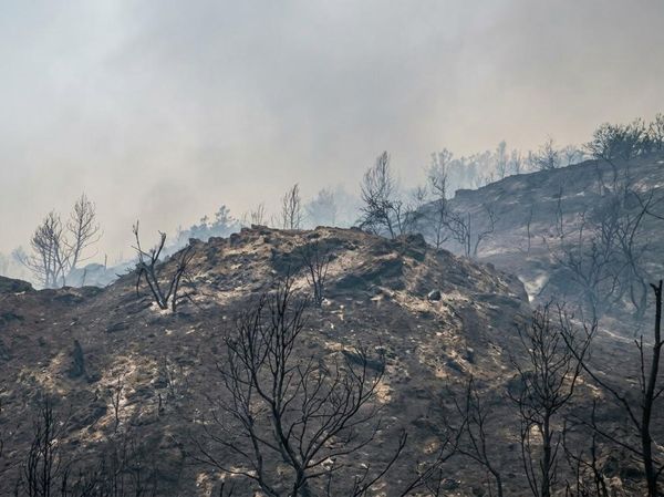 Kebakaran Wisata Bukit Lubang Kilat dan Segala Ironinya