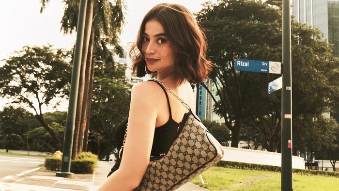 anne curtis smith
