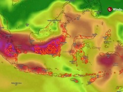 Meta Diminta Buka-bukaan Soal Dugaan Penghapusan Konten Karhutla
