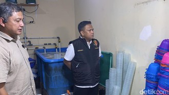 Polisi Ungkap Modus Penyelundupan 73 Ribu Benih Lobster yang Dicegah ke Vietnam
