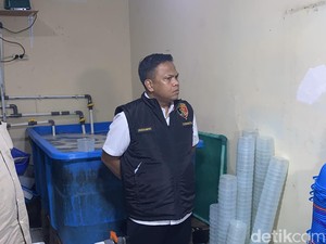 Polisi Ungkap Modus Penyelundupan 73 Ribu Benih Lobster yang Dicegah ke Vietnam
