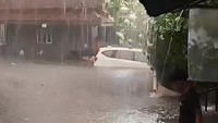 Hujan Disertai Angin Kencang Picu Banjir Lintasan dan Pohon Tumbang di Bogor