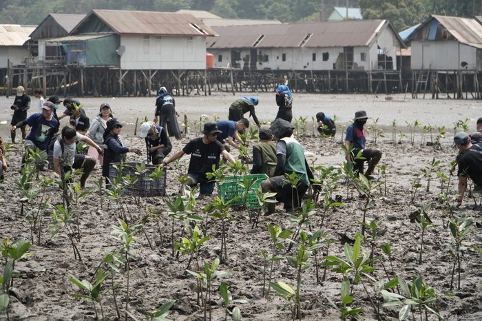 IMIP Padukan Pelestarian Mangrove dan Kemandirian Ekonomi Warga